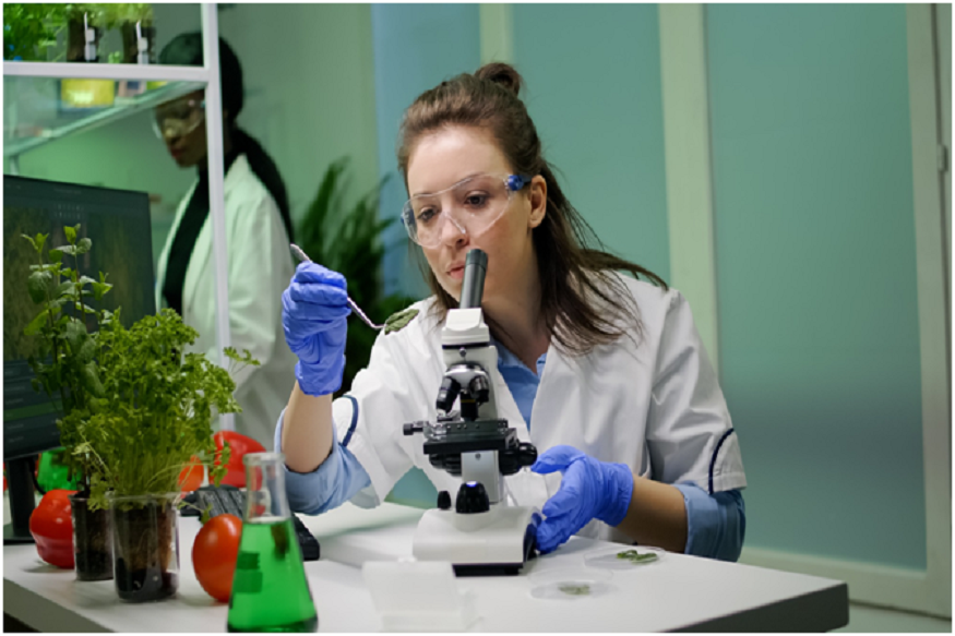 Biology assignment help